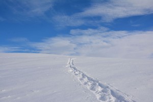 La trace dans la neige (Haute-Savoie) (1)          